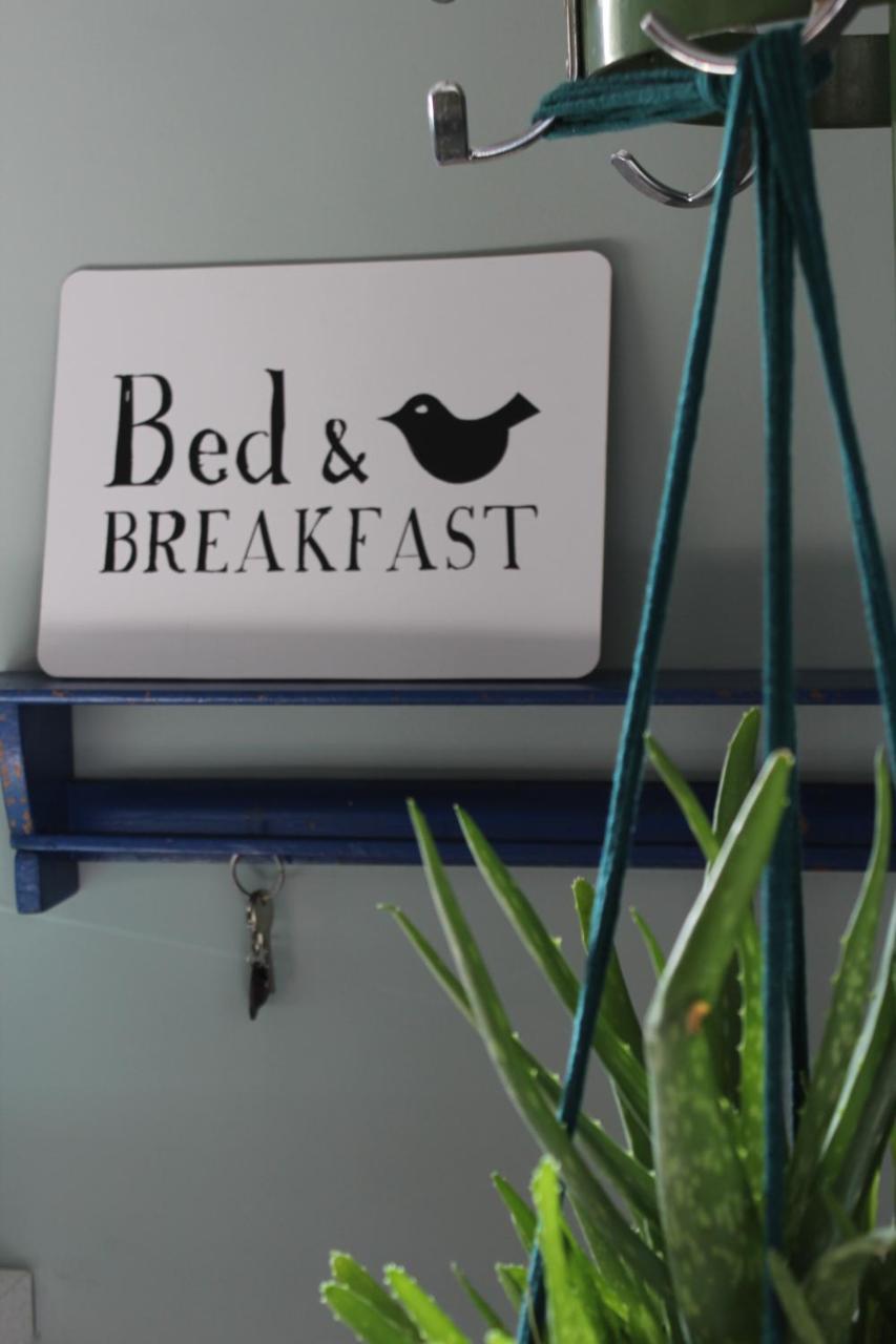 Bed and Breakfast Het Aambeeld Wanroij Esterno foto